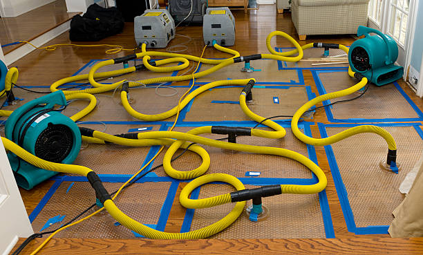 Professional Water Damage Repair technician working in Eau Claire, PA